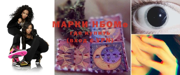 ГАЛЛЮЦИНОГЕННЫЕ ГРИБЫ Абаза