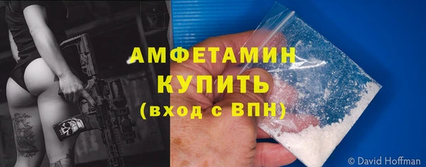 ГАЛЛЮЦИНОГЕННЫЕ ГРИБЫ Абаза